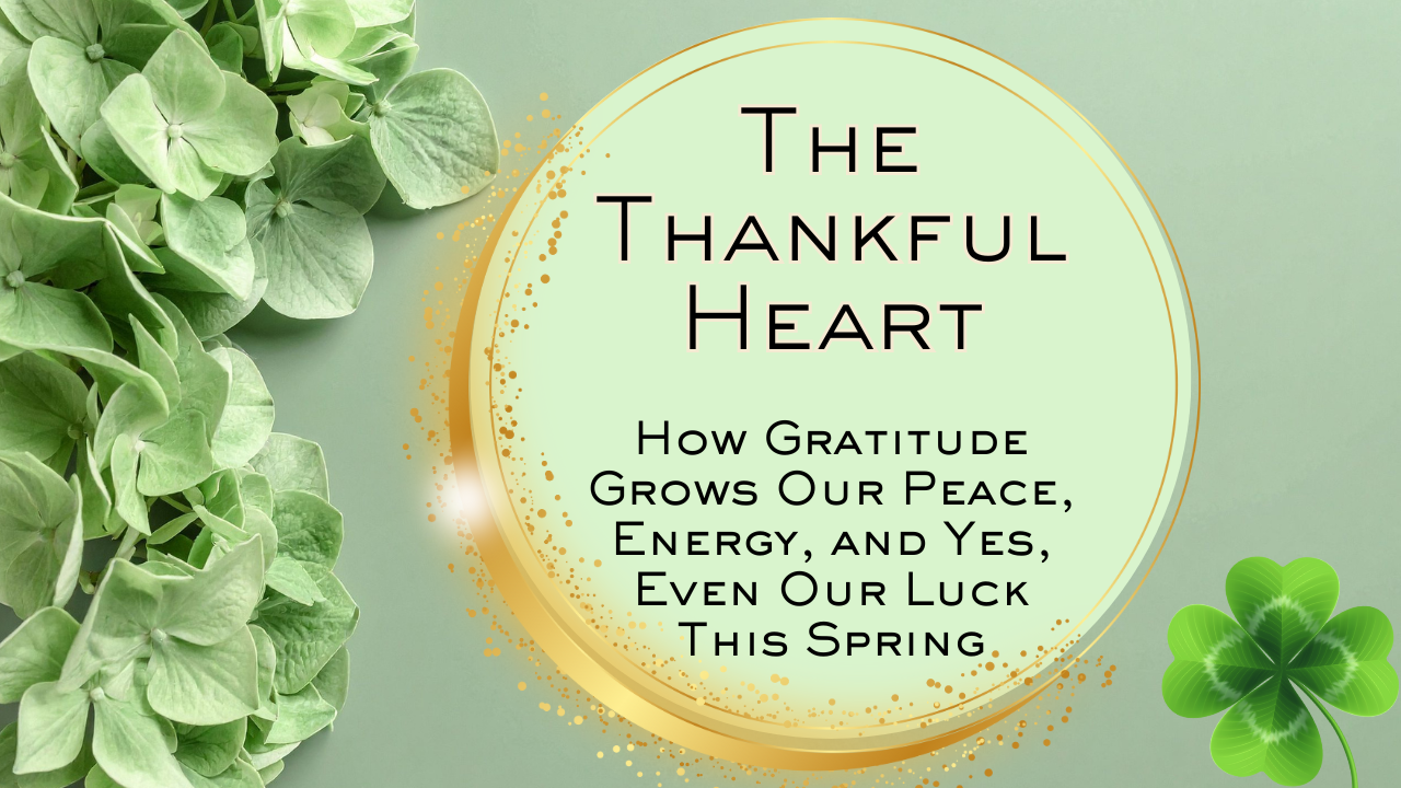 Daily Gratitude | Morning Gratitude Affirmation | Gratitude Journaling Ideas | Gratitude Affirmation 